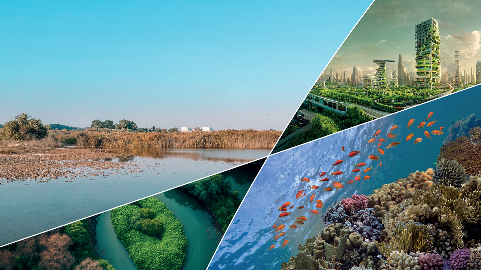 Soft Natural Problem Discover the importance and benefits of Nature-based solutions | Haskoning