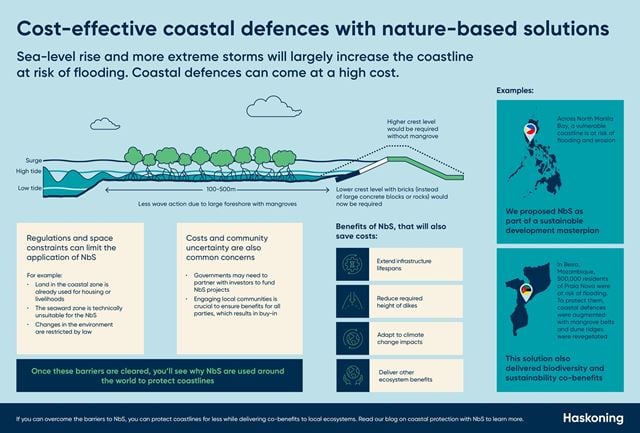 Nature-based solutions can reduce coastal protection costs | Haskoning
