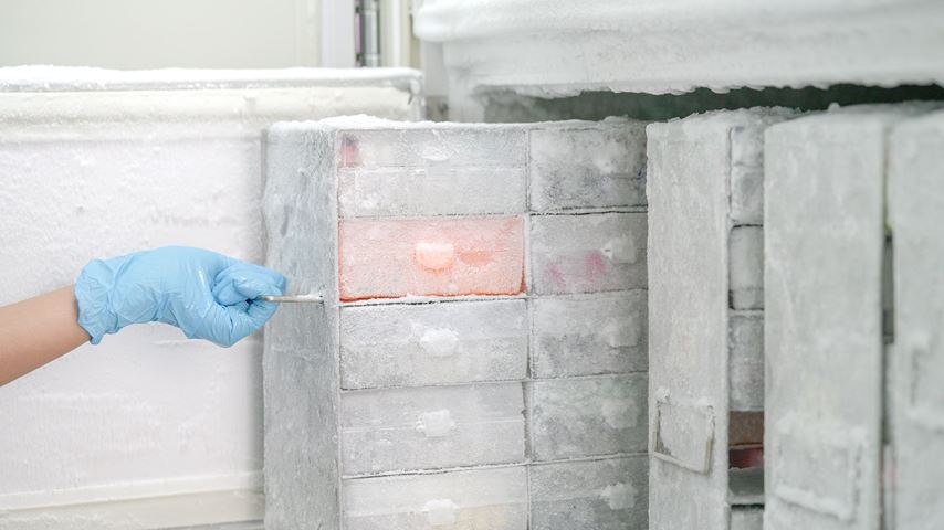 Freezer cell project fast-tracked for pandemic vaccine | Haskoning