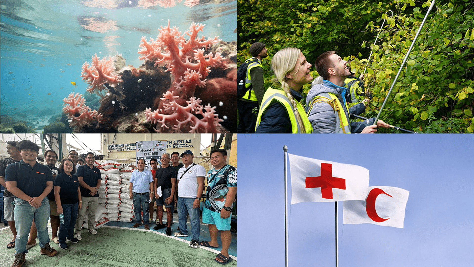 Collage of pictures of BrITE projects