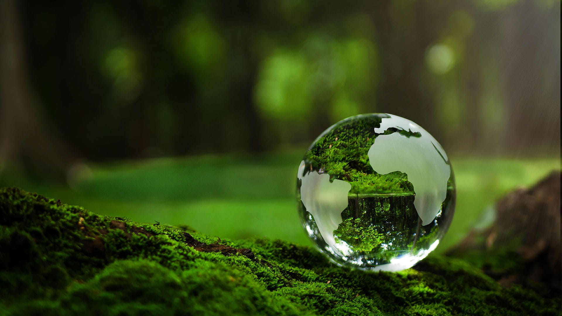 Crystal globe in nature