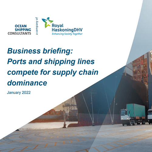 Business briefing 2022 download cover