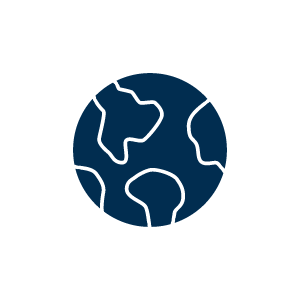 Globe icon
