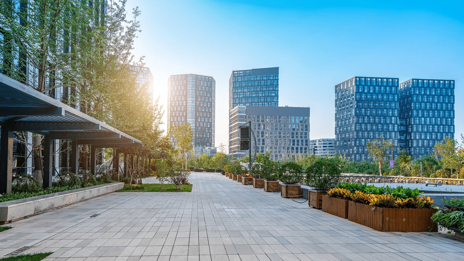 Buildings in the distance