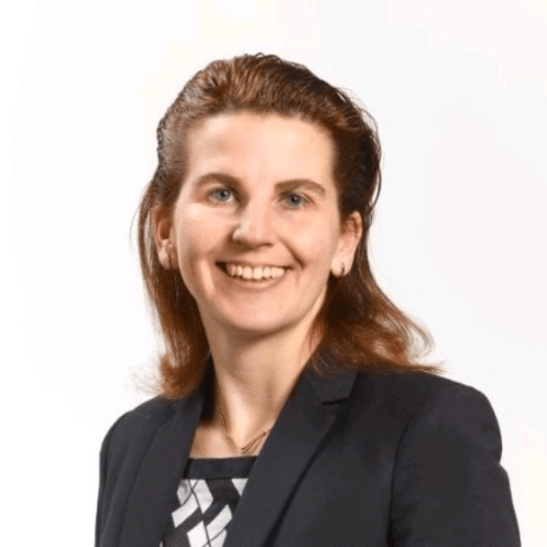 Director of Logistics Projects at Haskoning