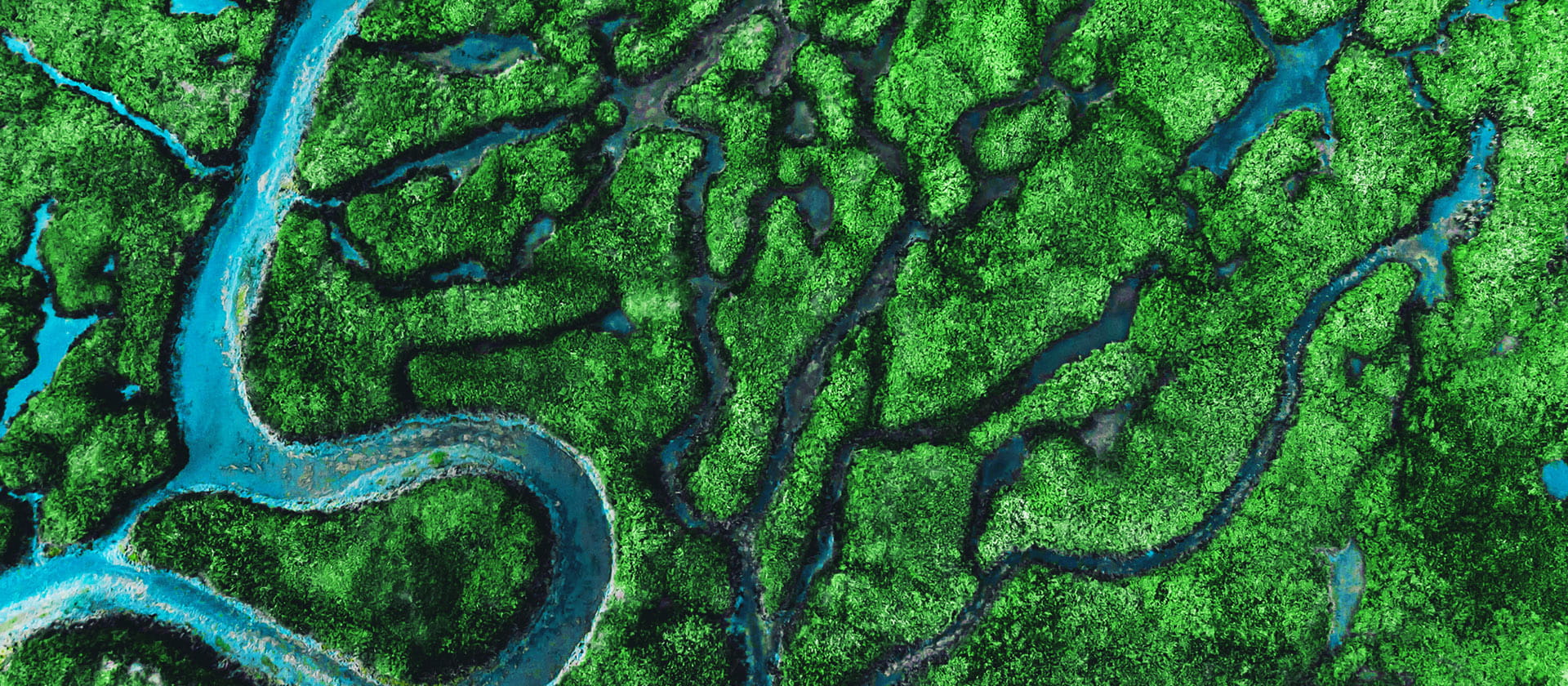 Aerial image of river delta