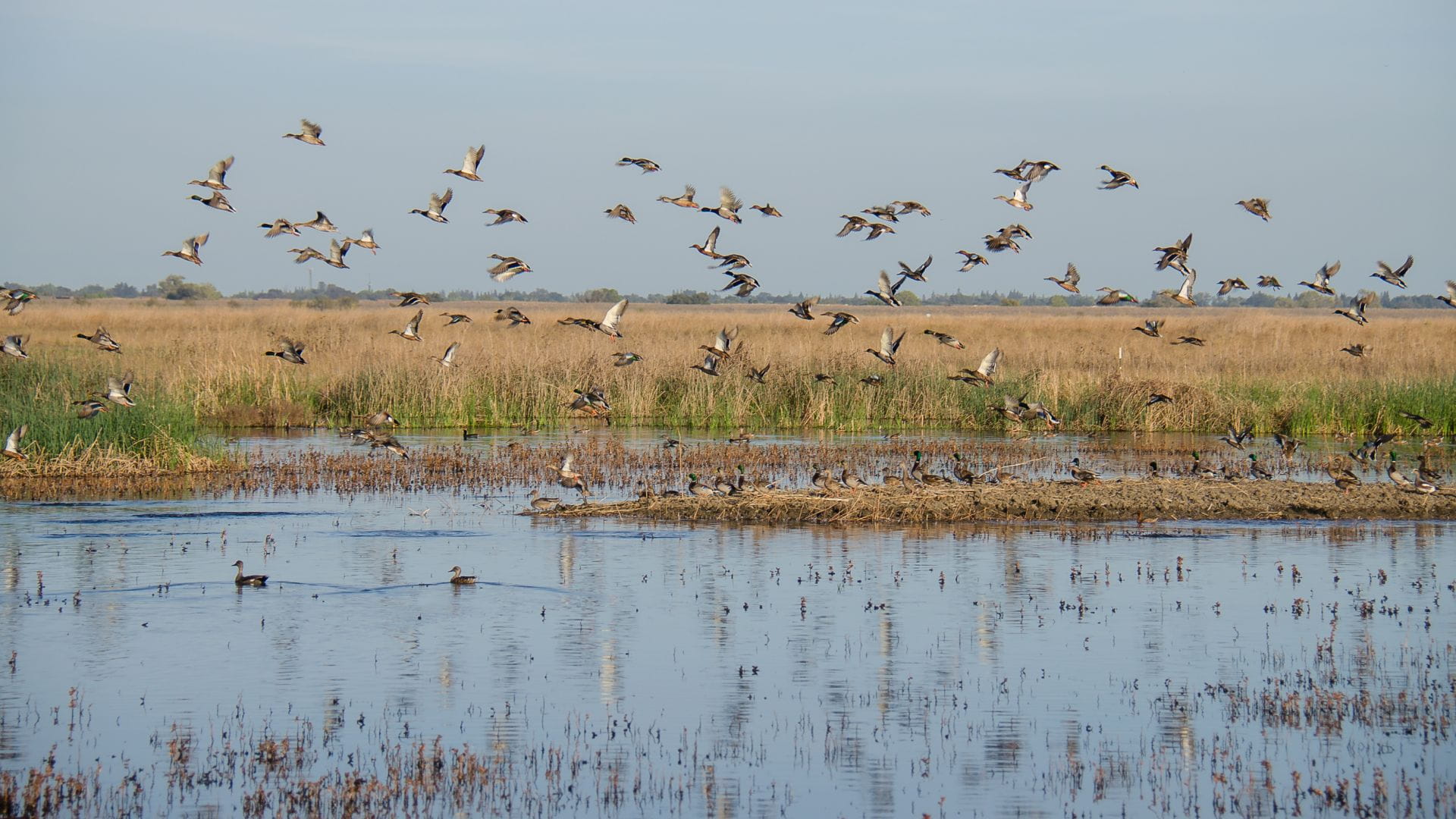 Climate resilience solutions