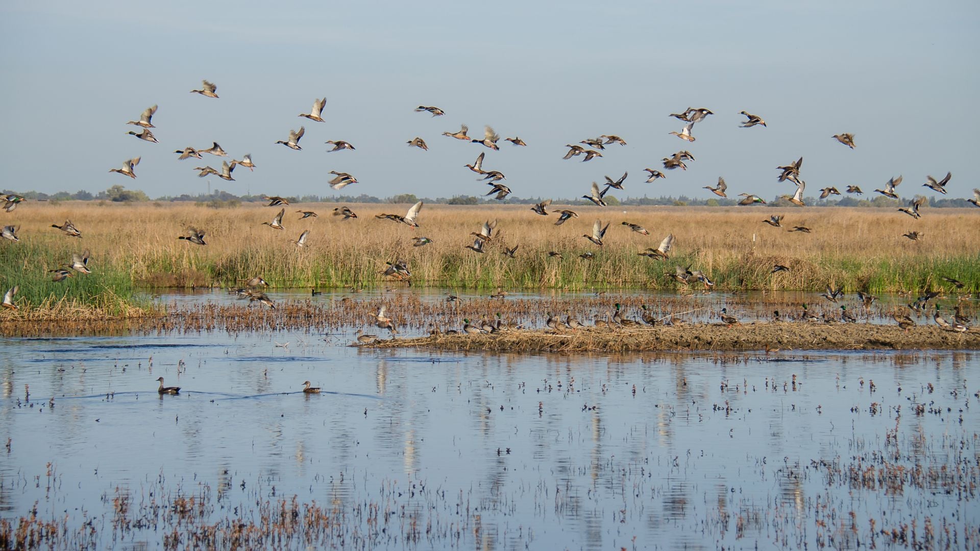 Climate resilience solutions