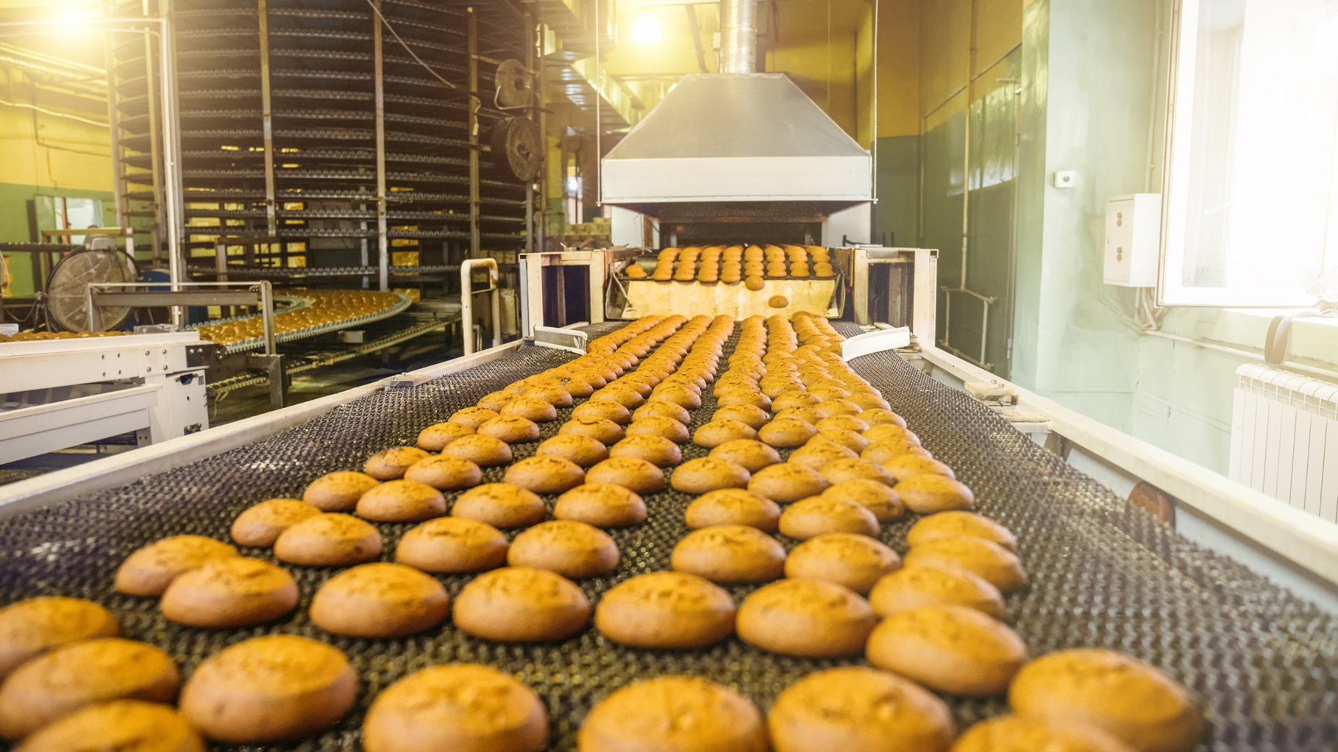 A bread production line