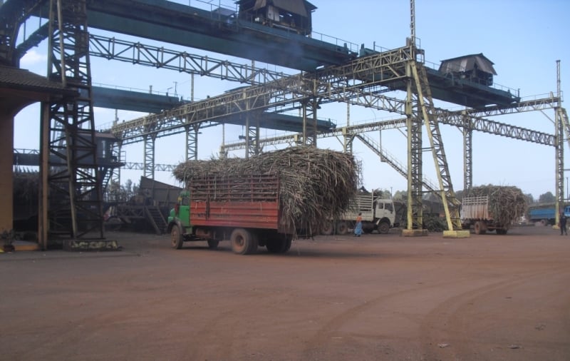 truck driving in a biomass co-generation plant