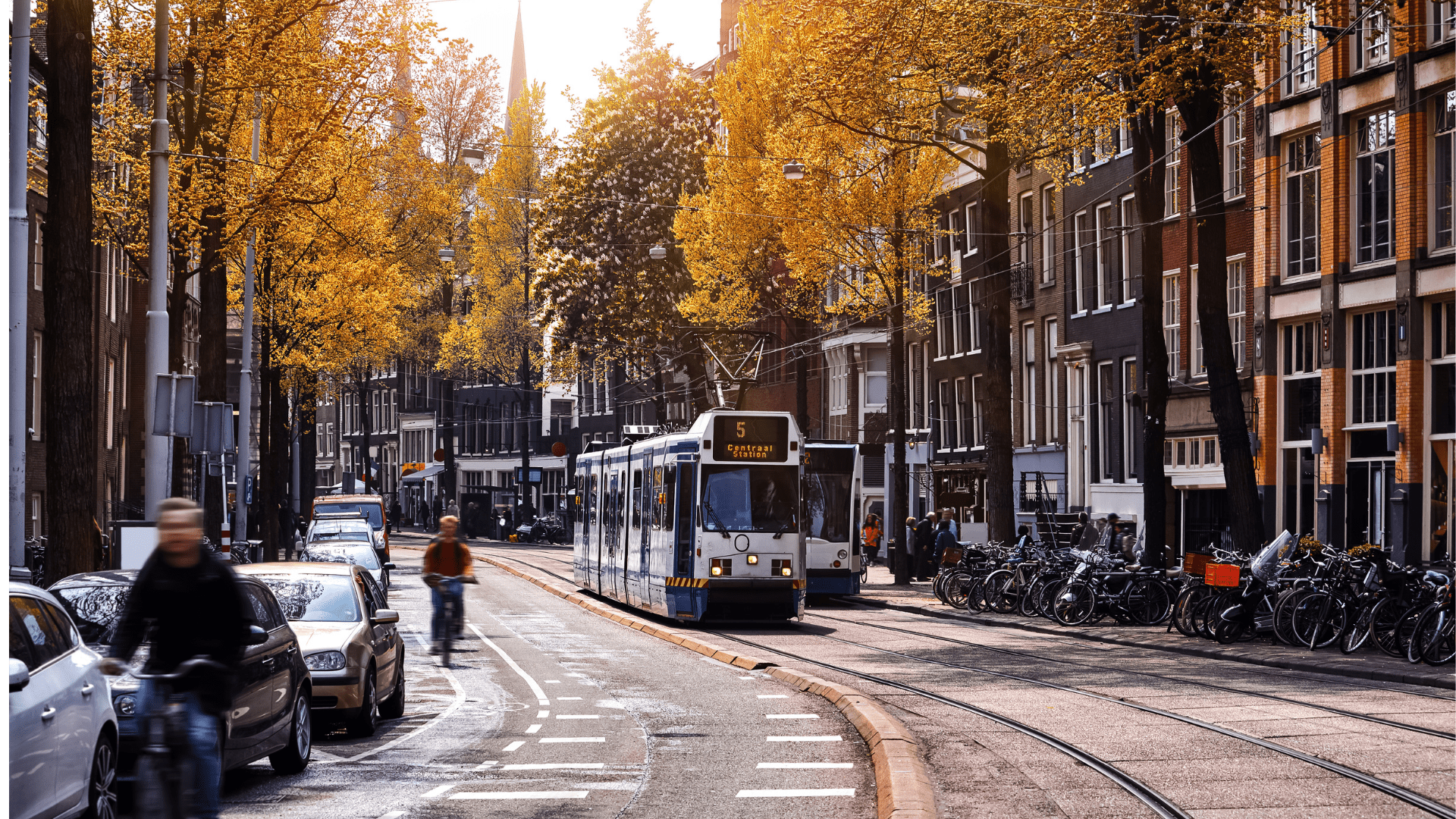 People are travelling on the street with tram and bicycles