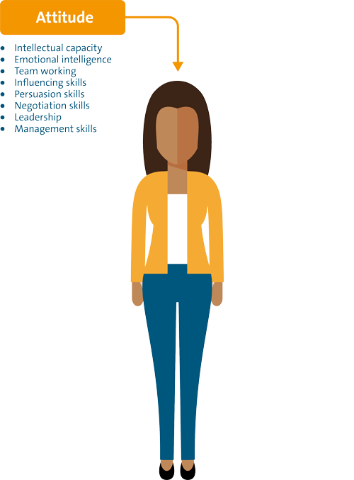 The craftsmanship of enterprise architecture l Haskoning