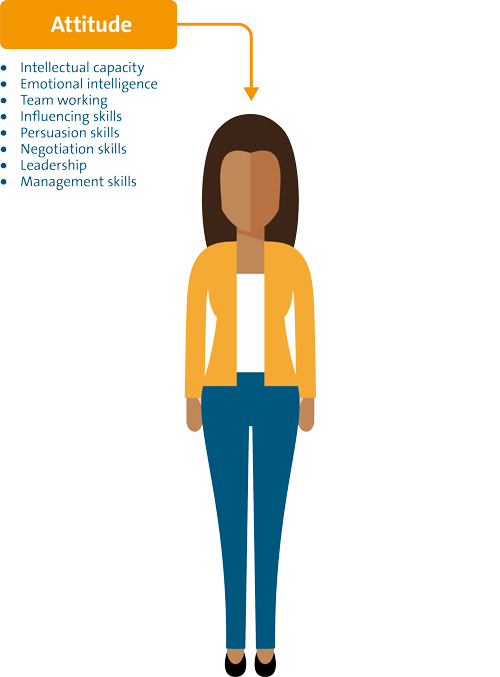 The craftsmanship of enterprise architecture l Haskoning