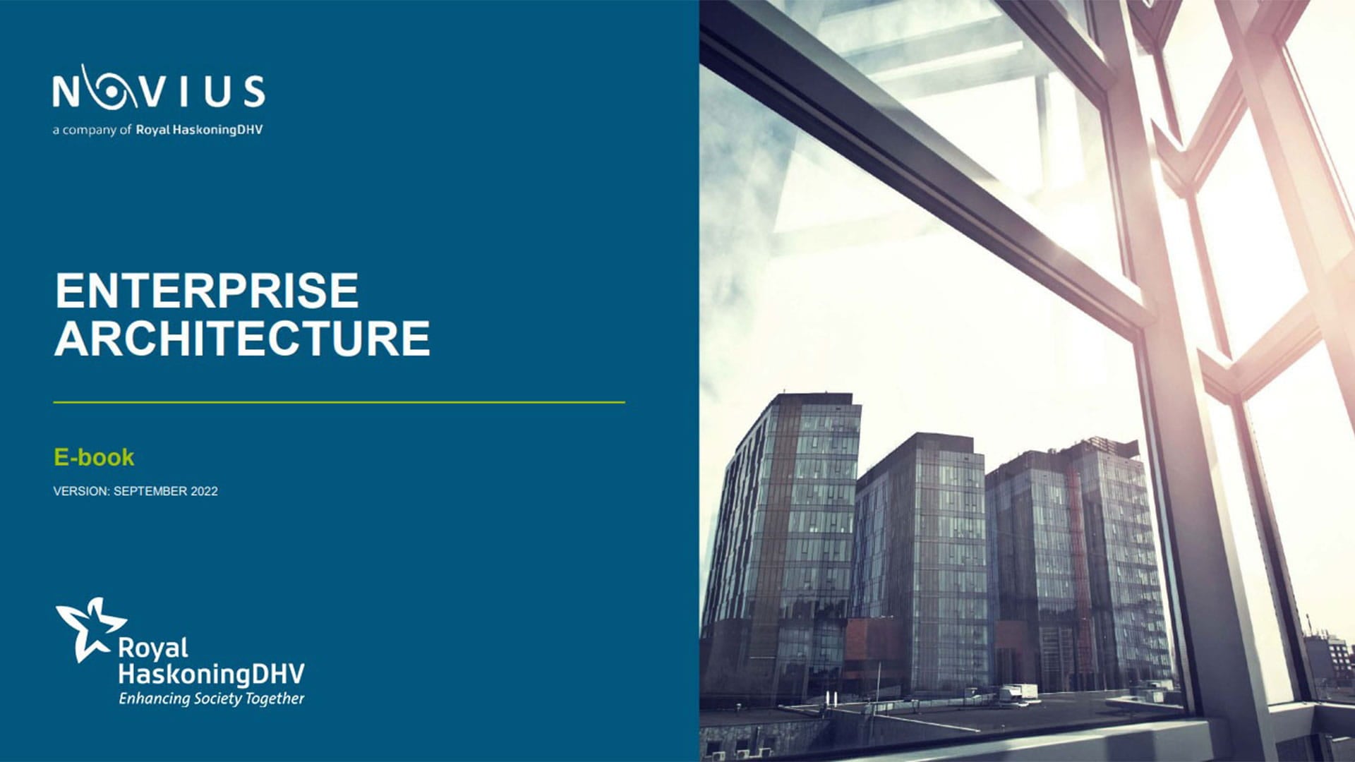 eBook Enterprise Architecture