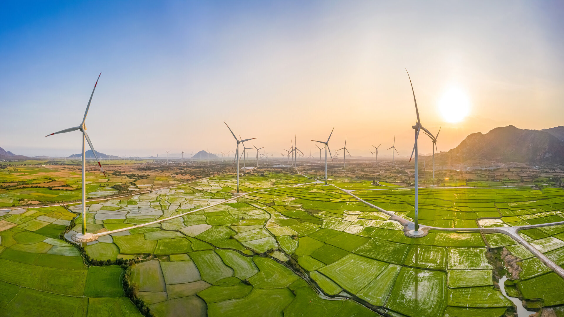 Wind turbines generating electricity on rice field