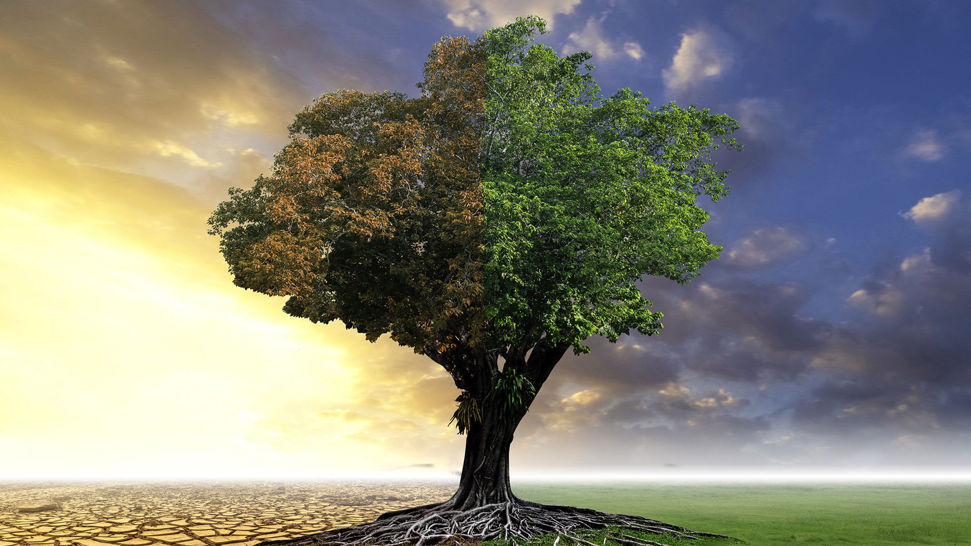 Project Management Consultancy (PMC), Collaborative Solutions, Future-proof Production, Supply Chain Considerations, Environmental, Footprint, Net-zero Solutions, Resilience, Haskoning, sustainability in manufacturing, sustainable industry, sustainable production