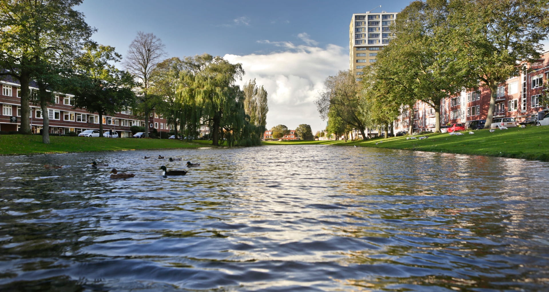 Delfland-improves-water-quality