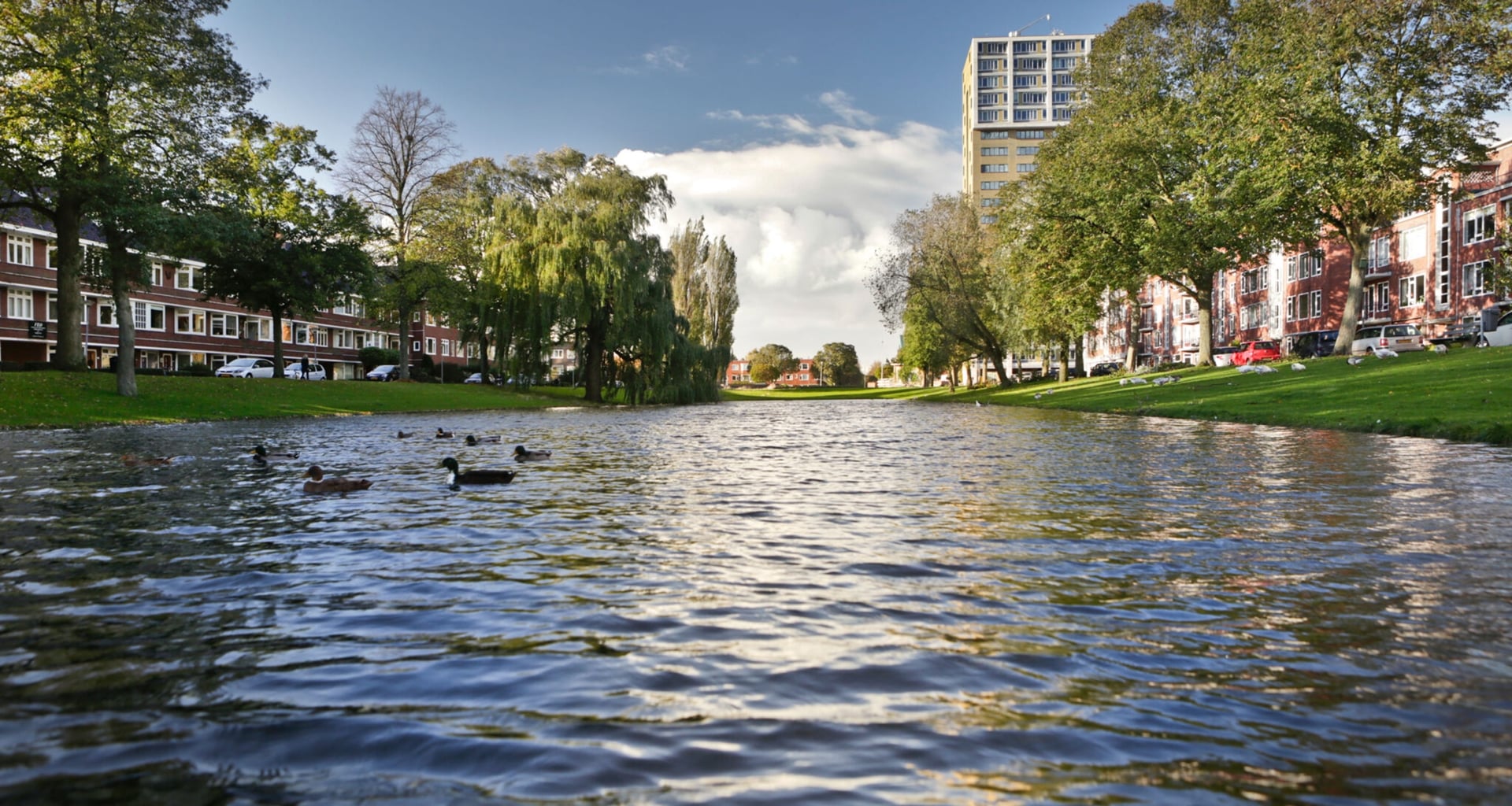 Delfland-improves-water-quality