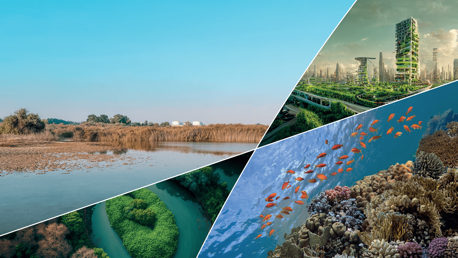 examples of nature based solutions