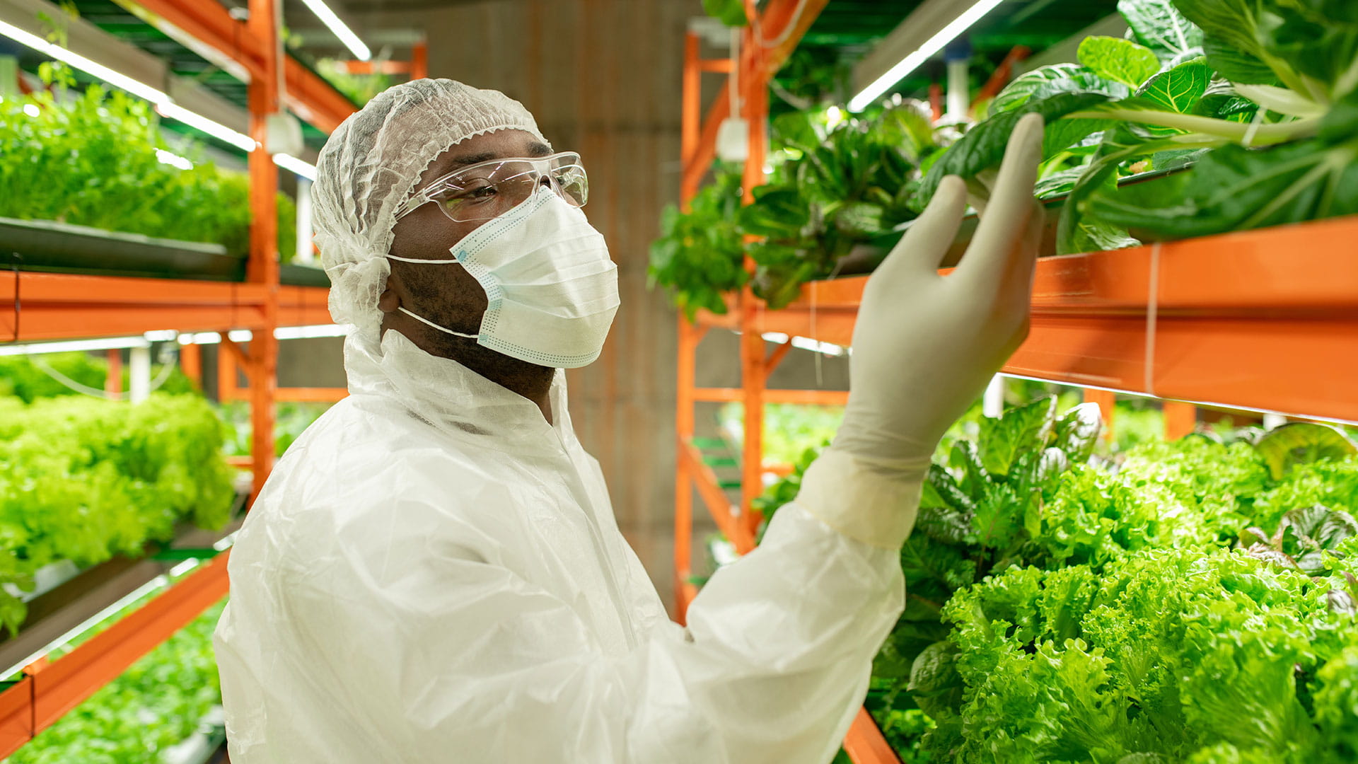 Vertical farming, Renewable energy, Waste minimisation, Local economy, Digital consumer, Immersive digital experiences, Collaborative future