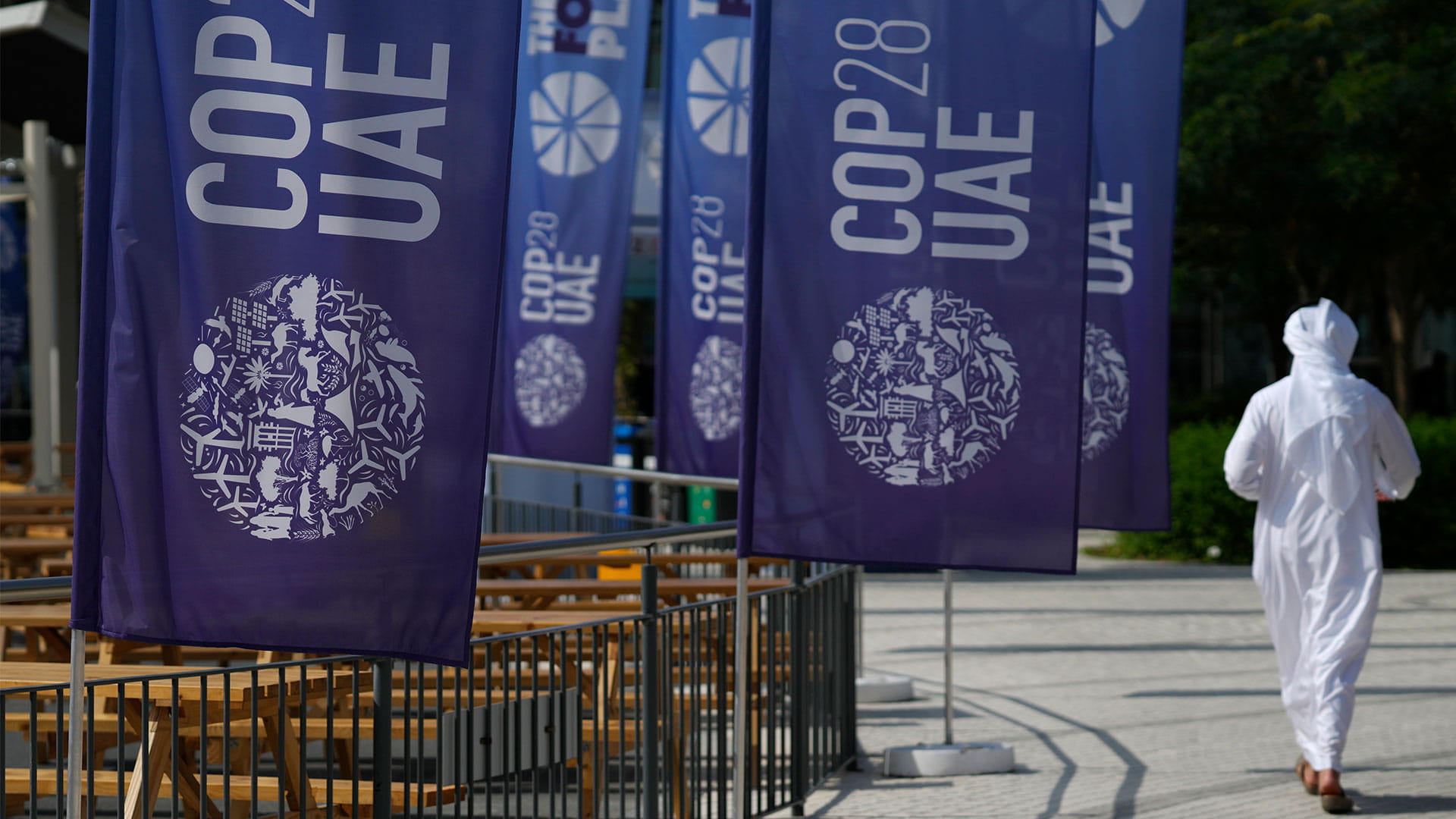 Flags at COP28 UAE