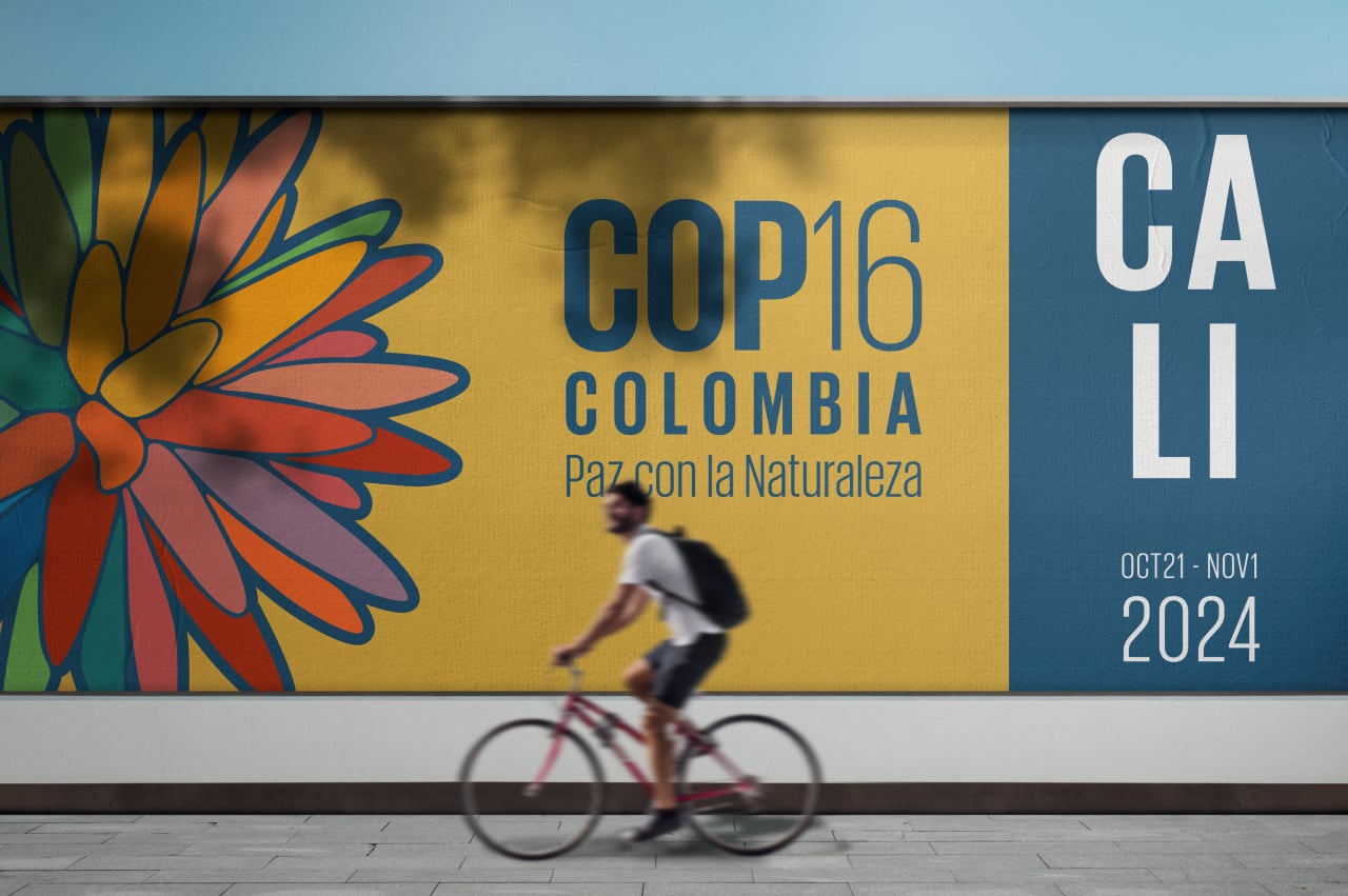 Cyclist before poster COP16