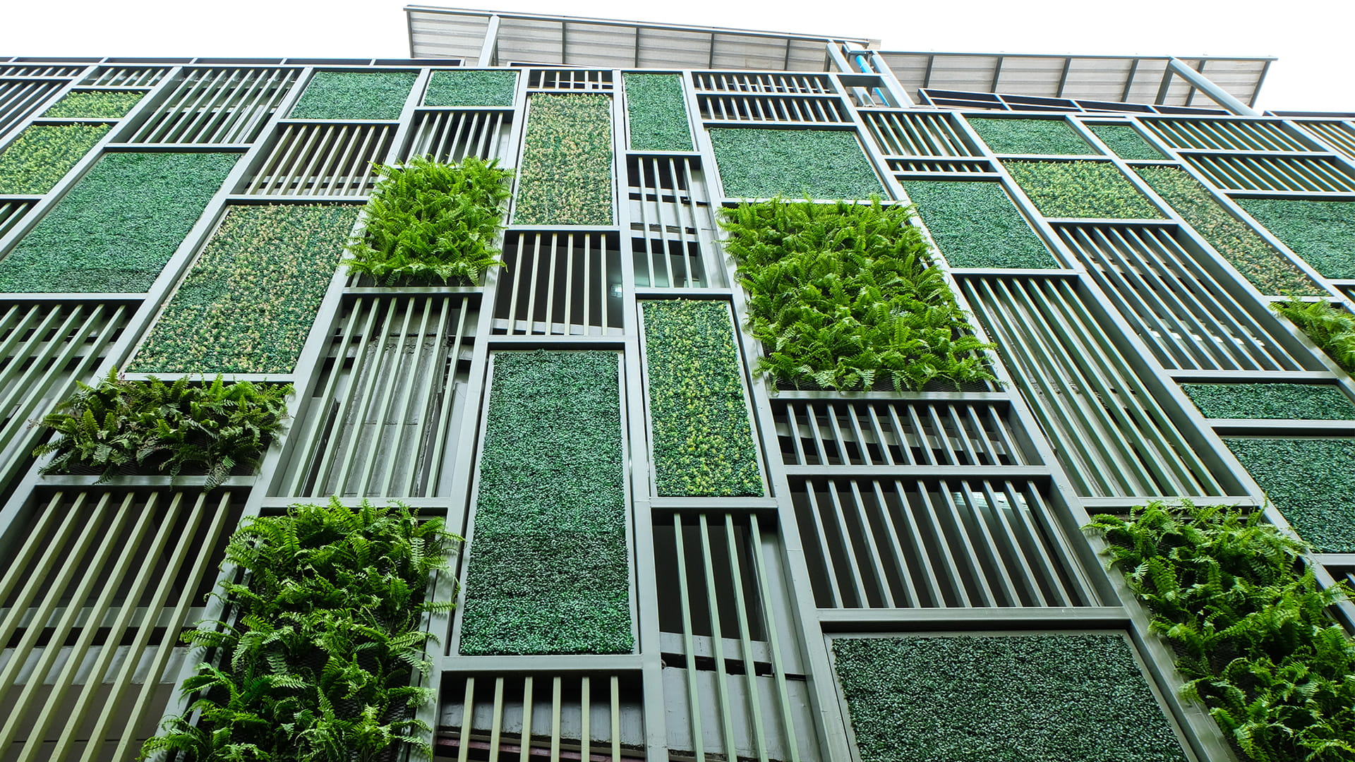 Green façade