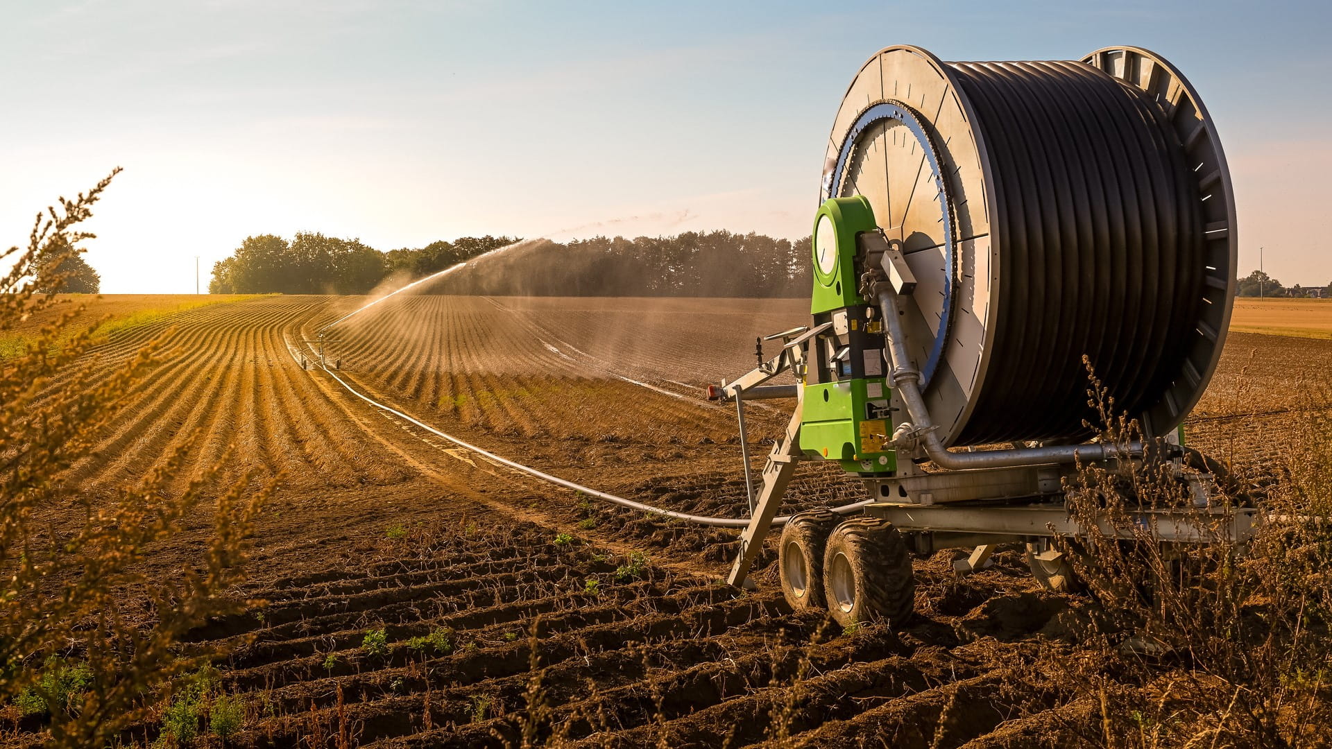 a field with crops being watered