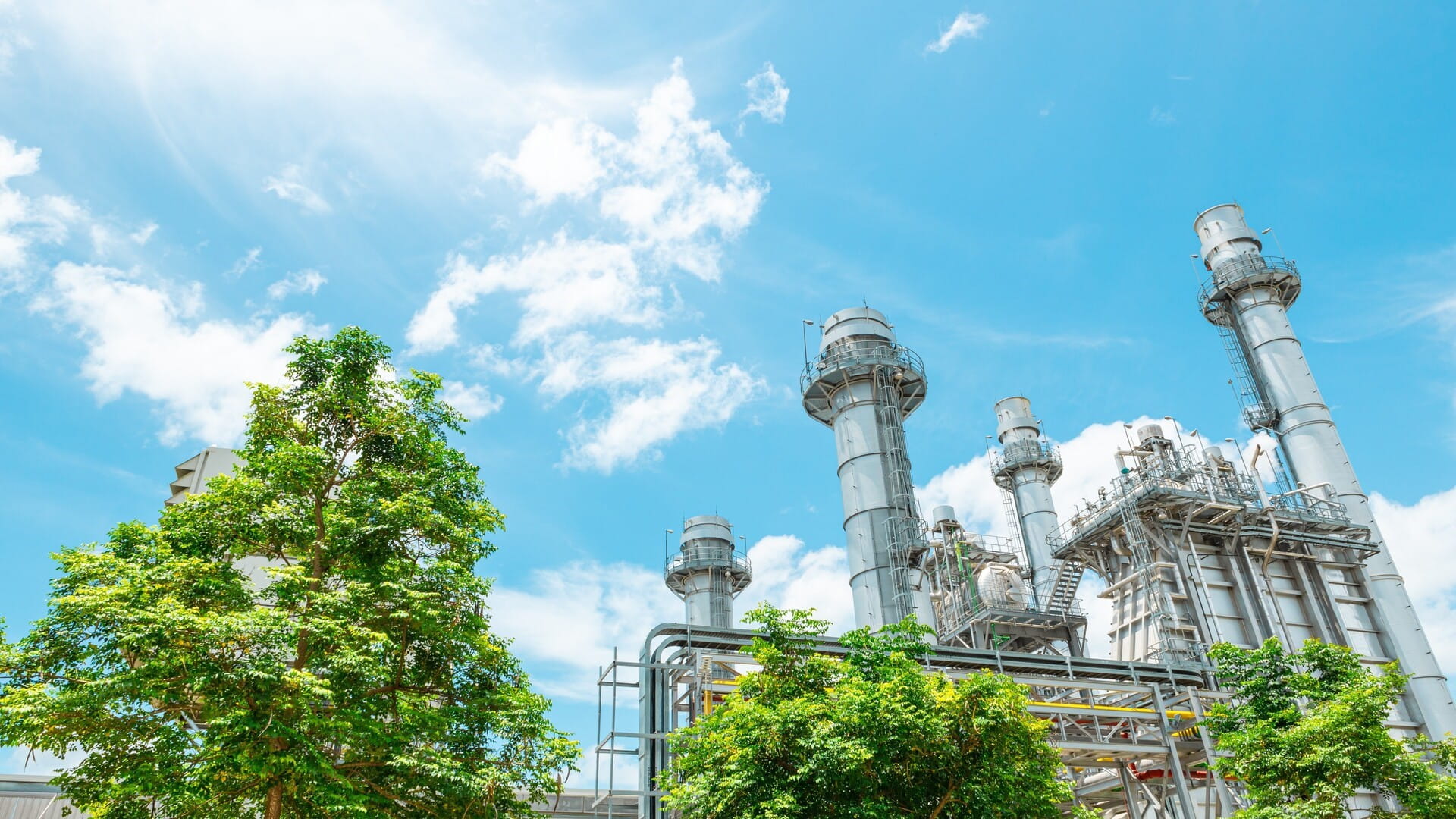 factory behind trees