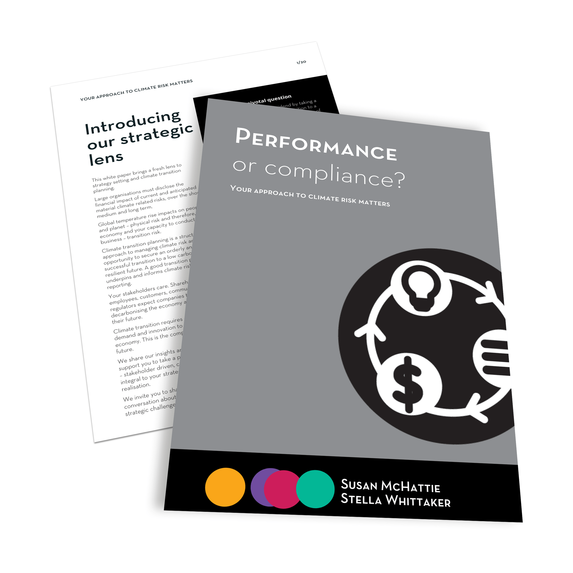 The mock up image of the Whitepaper: Performance or compliance Your approach to climate risk matters.