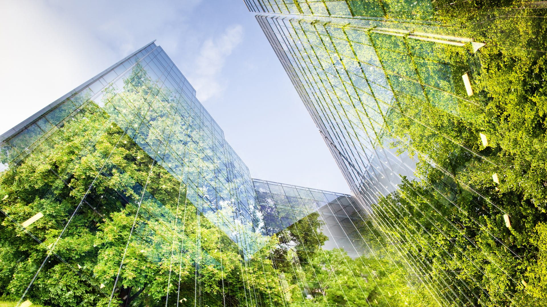 building with tree reflection