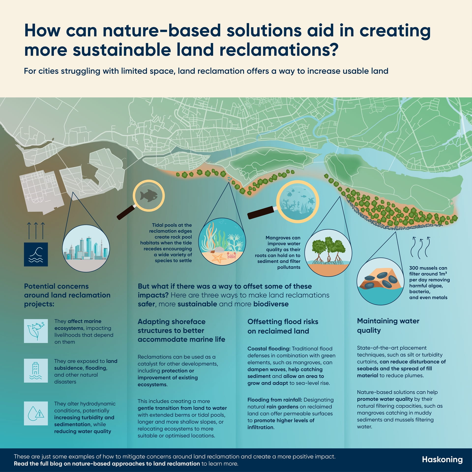 infographic showing nature based solutions for land reclamation