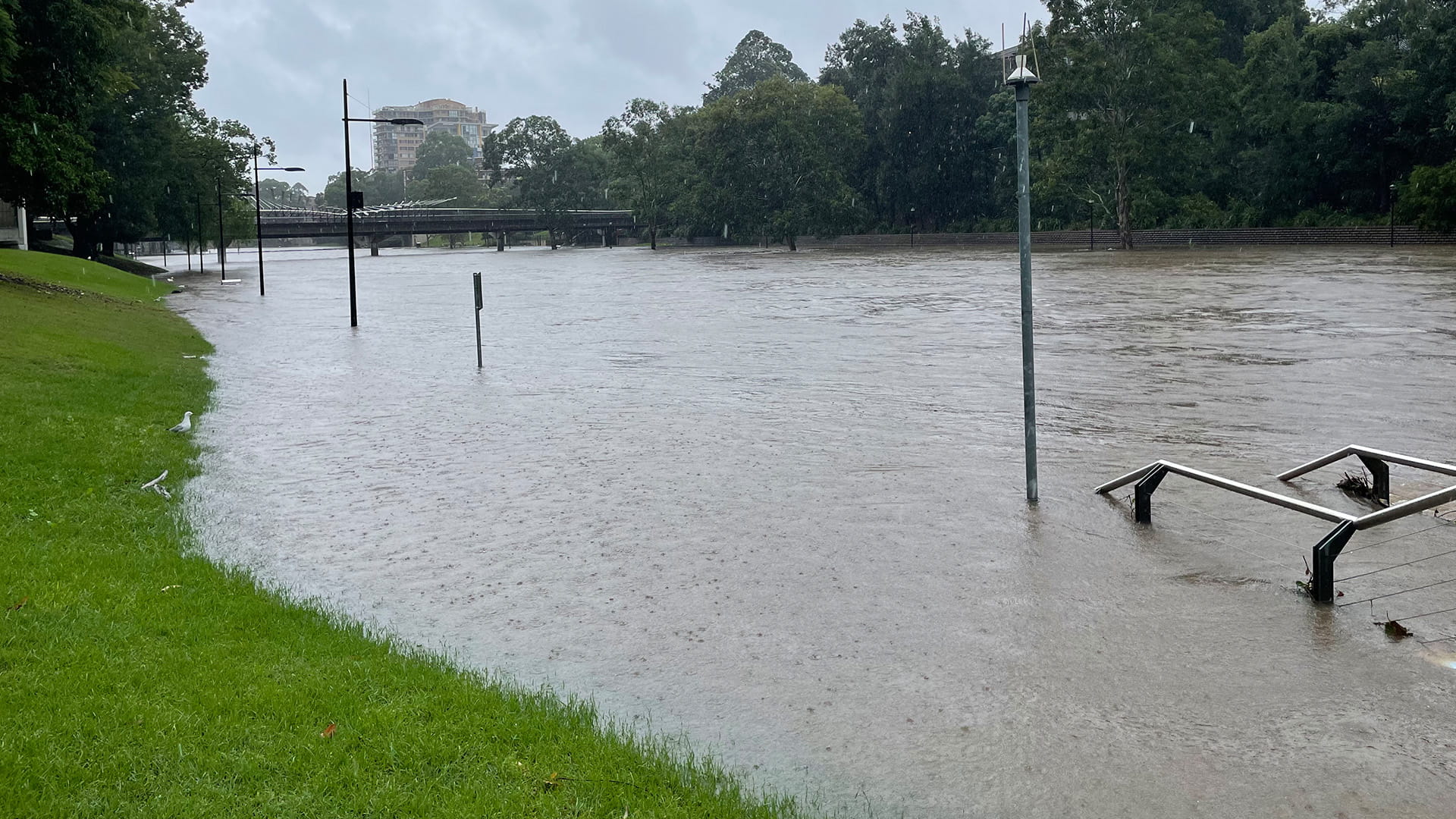 Parramatta flooding 2020