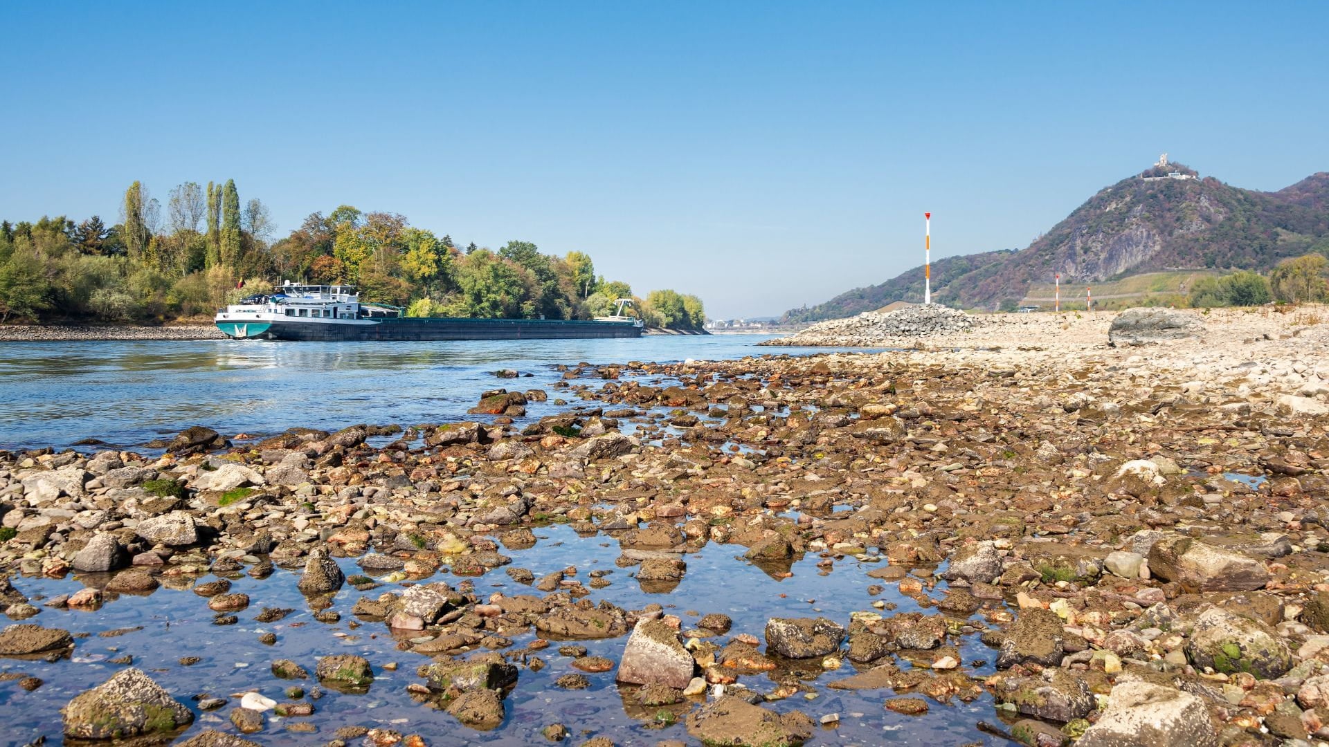 Vessel on river Rhine with low water level