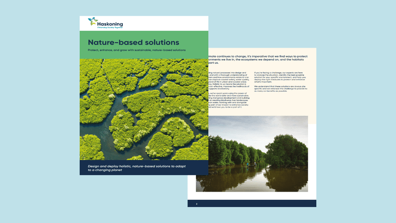 Nature Based Solutions