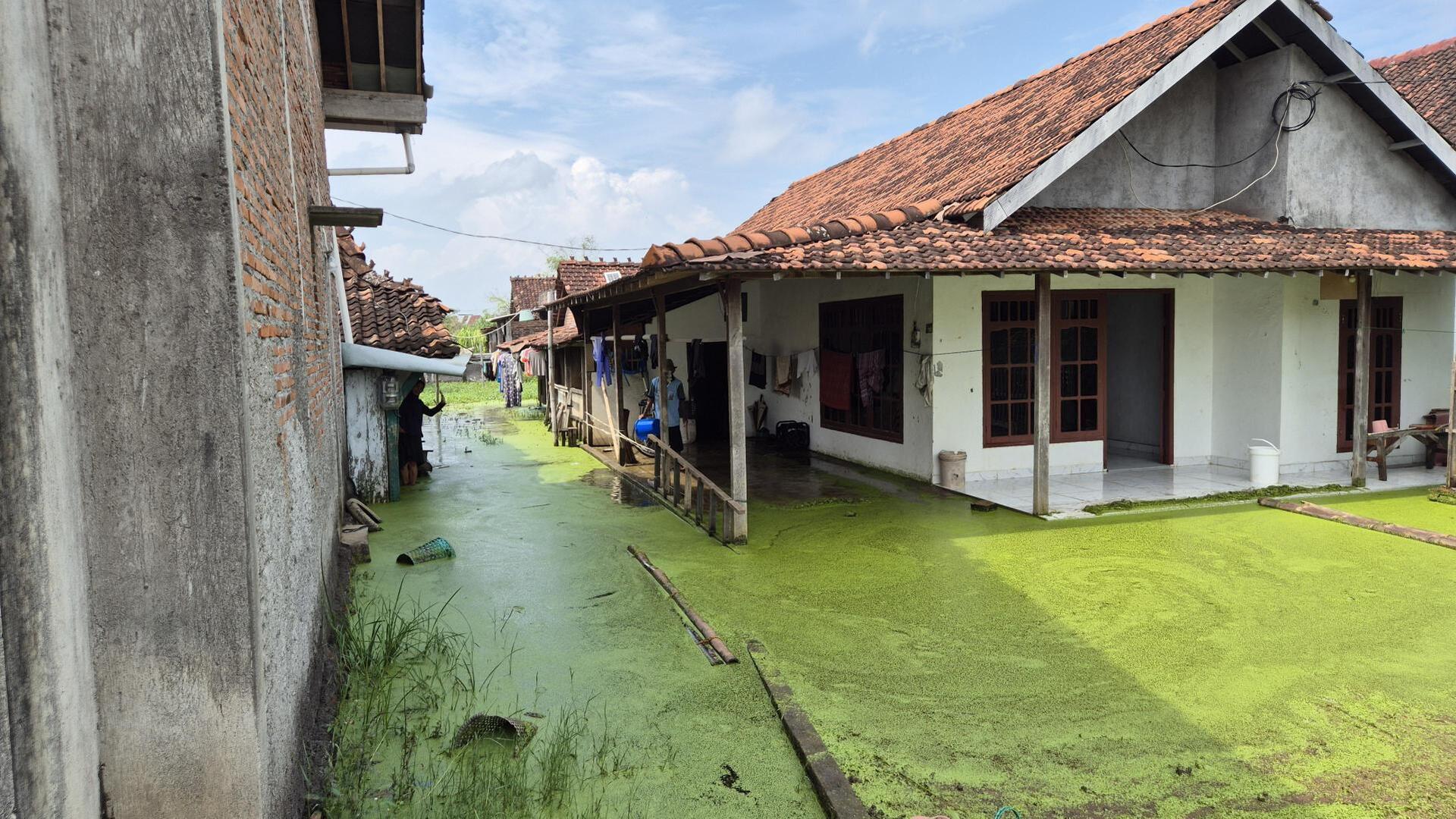 Coastal protection structures along the North Java coastline to support climate resilience