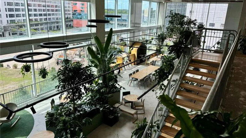 Interior office Eindhoven