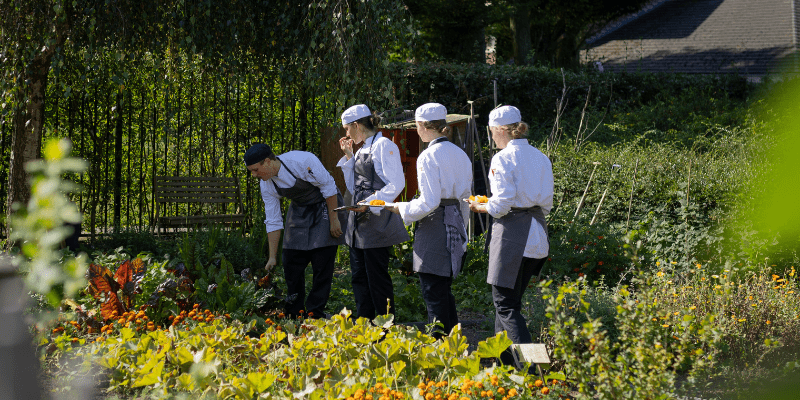 Garden Breda University