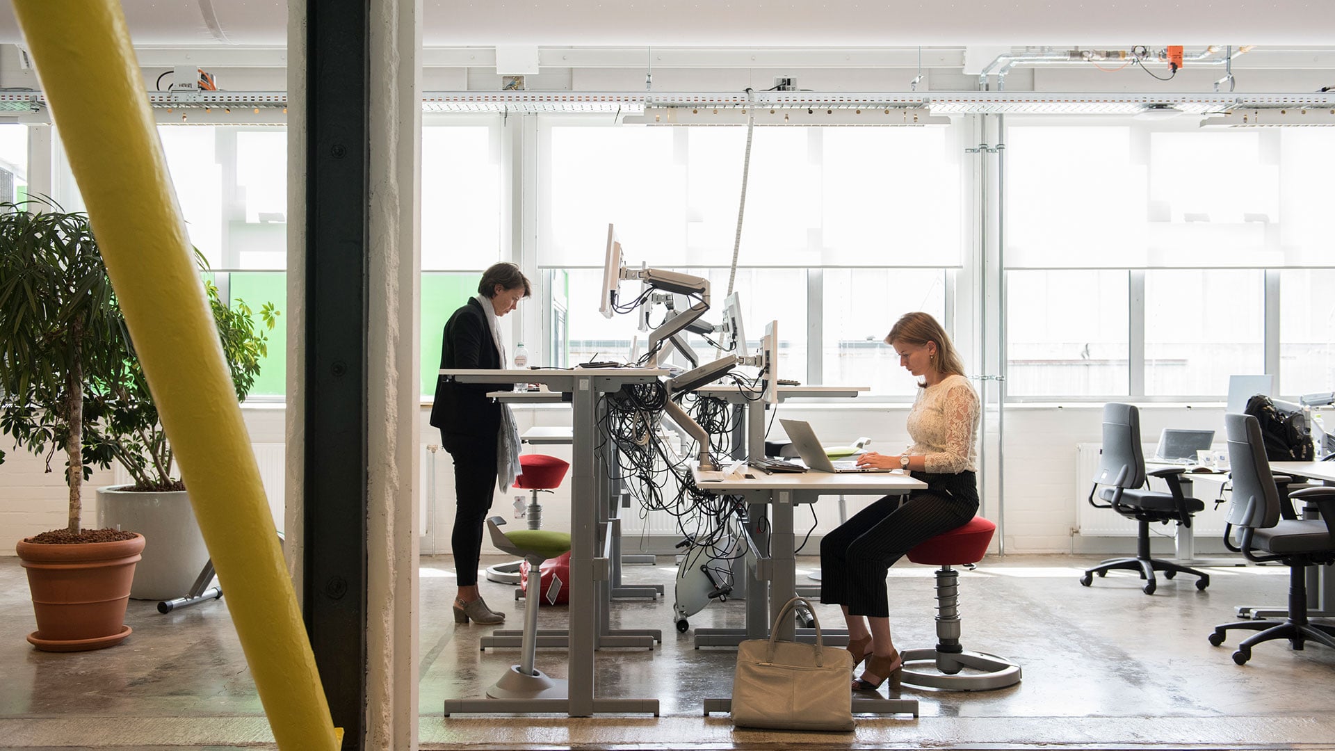 Sustainability and co-creation for the Haskoning office in Amsterdam