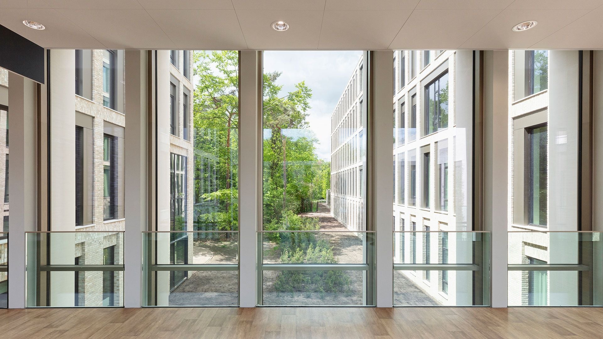 Big windows