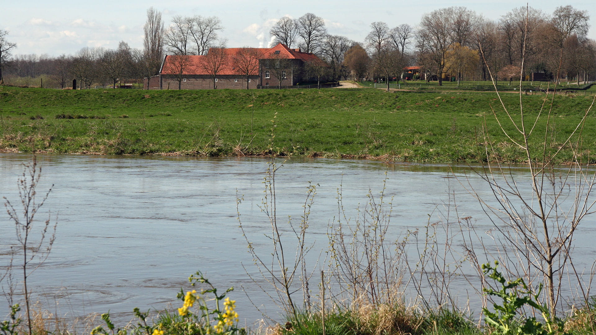 House next to a river