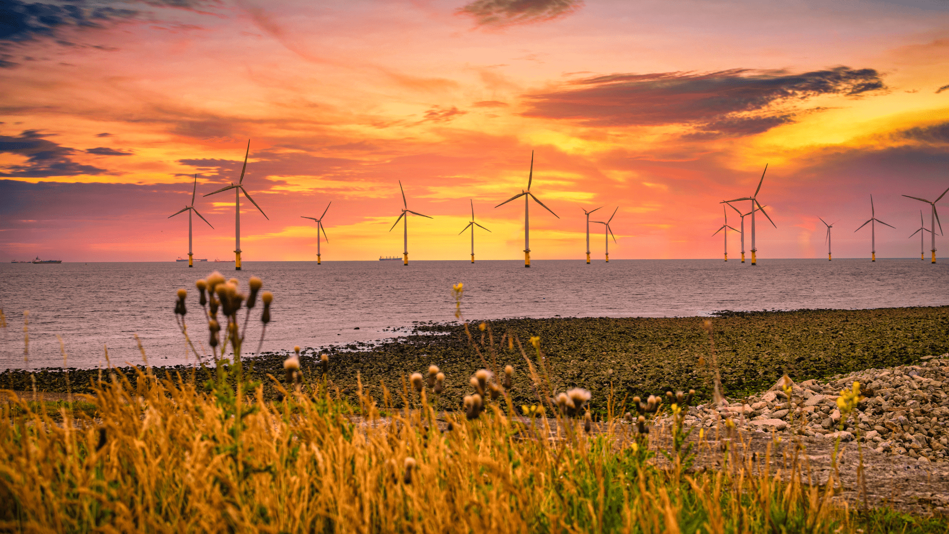 An offshore wind farm off the coast of the UK