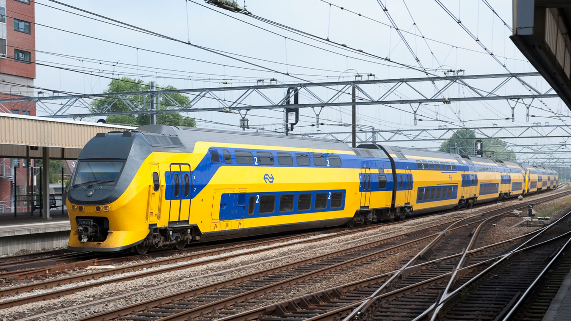 NS trains being stationed