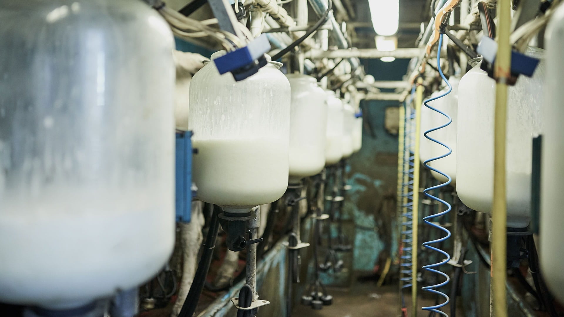 Baby formula factory