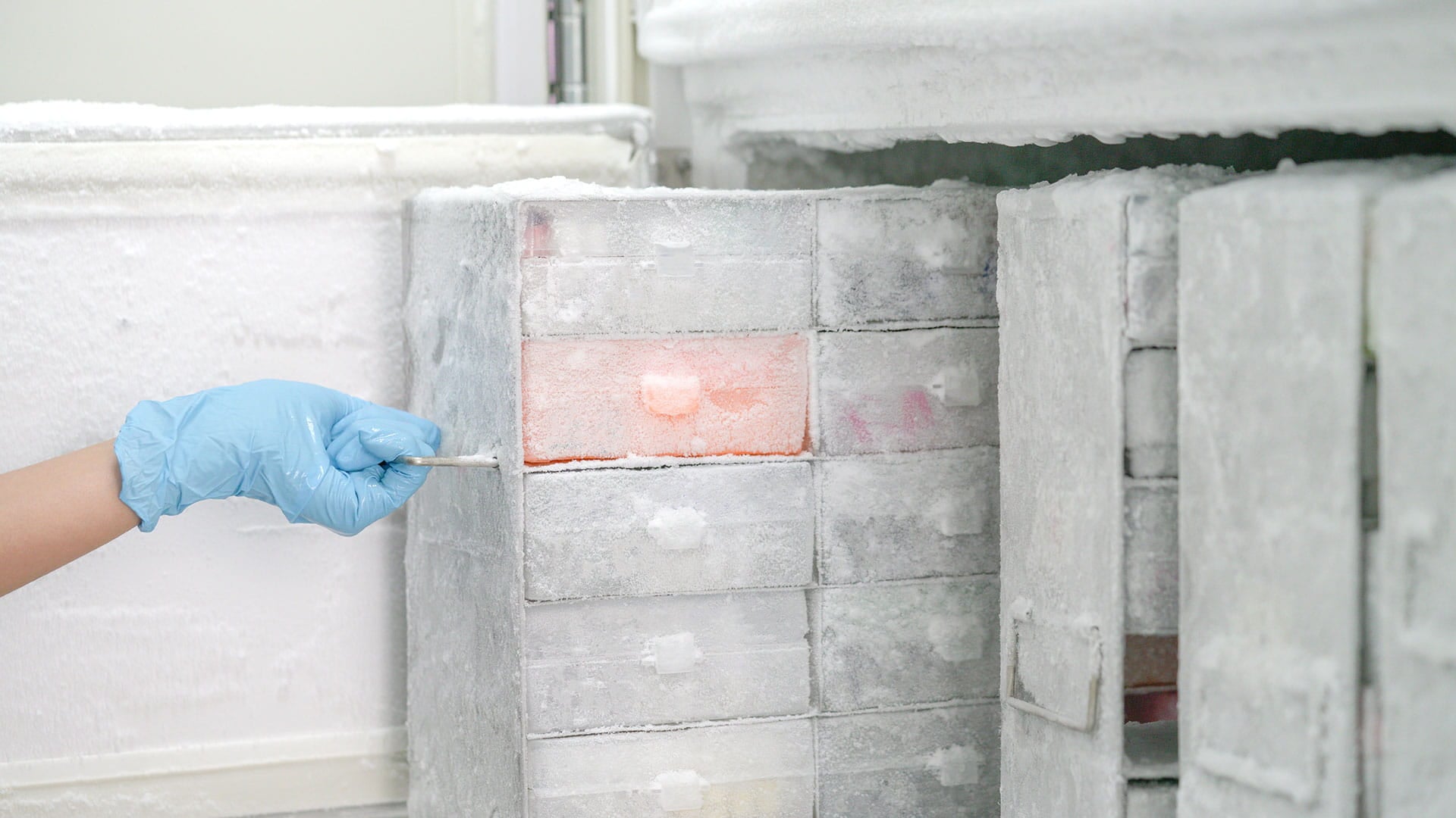 Pharmaceutical industry, freezer cell storage, pandemic vaccine storage