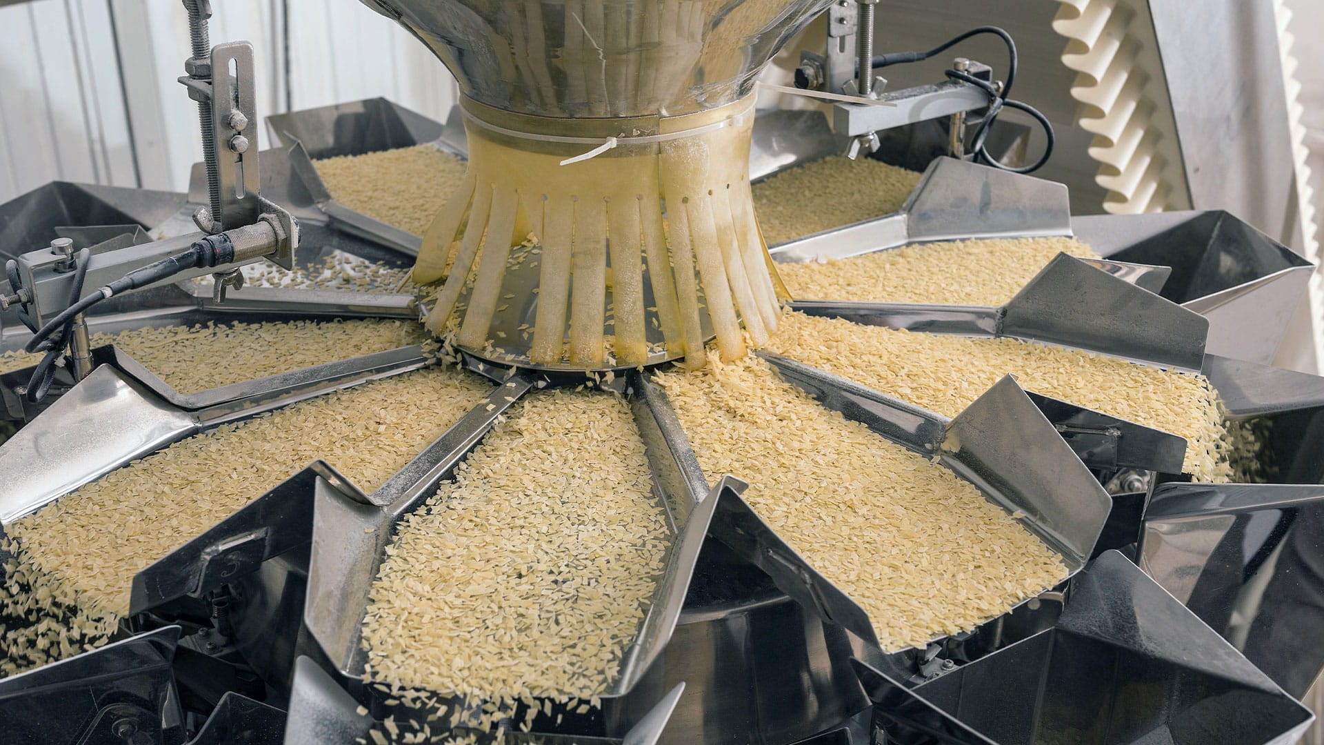 Food manufacturing, food, pasta, ingredients, conveyor, production