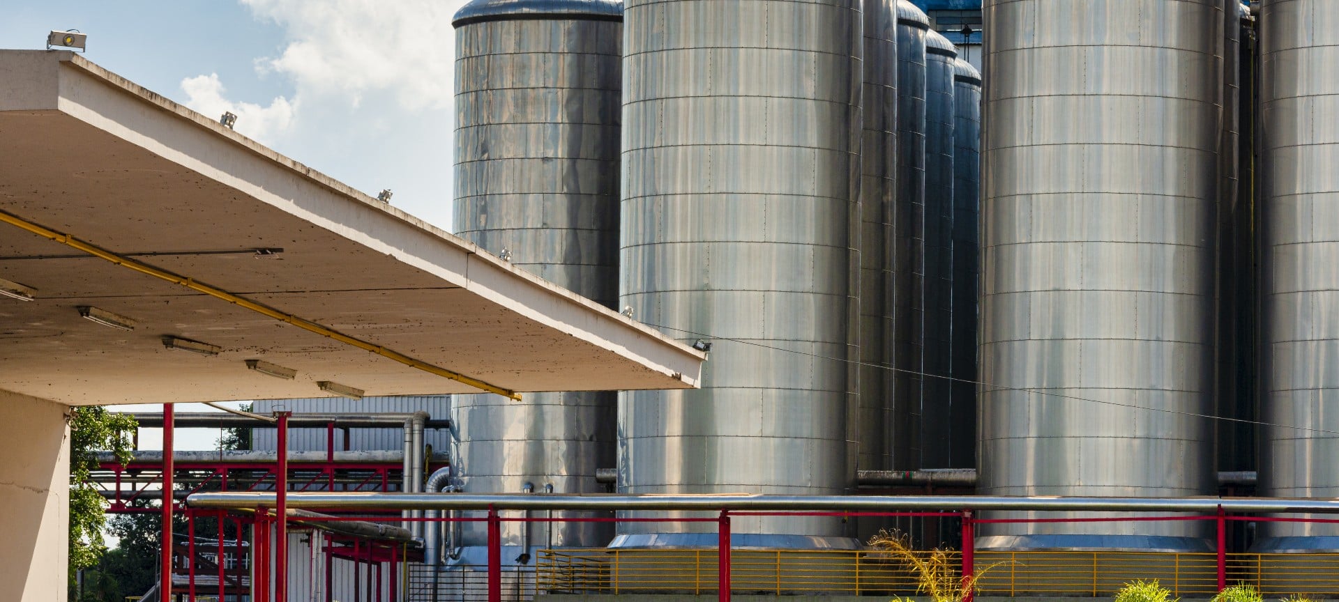 Malt production plant