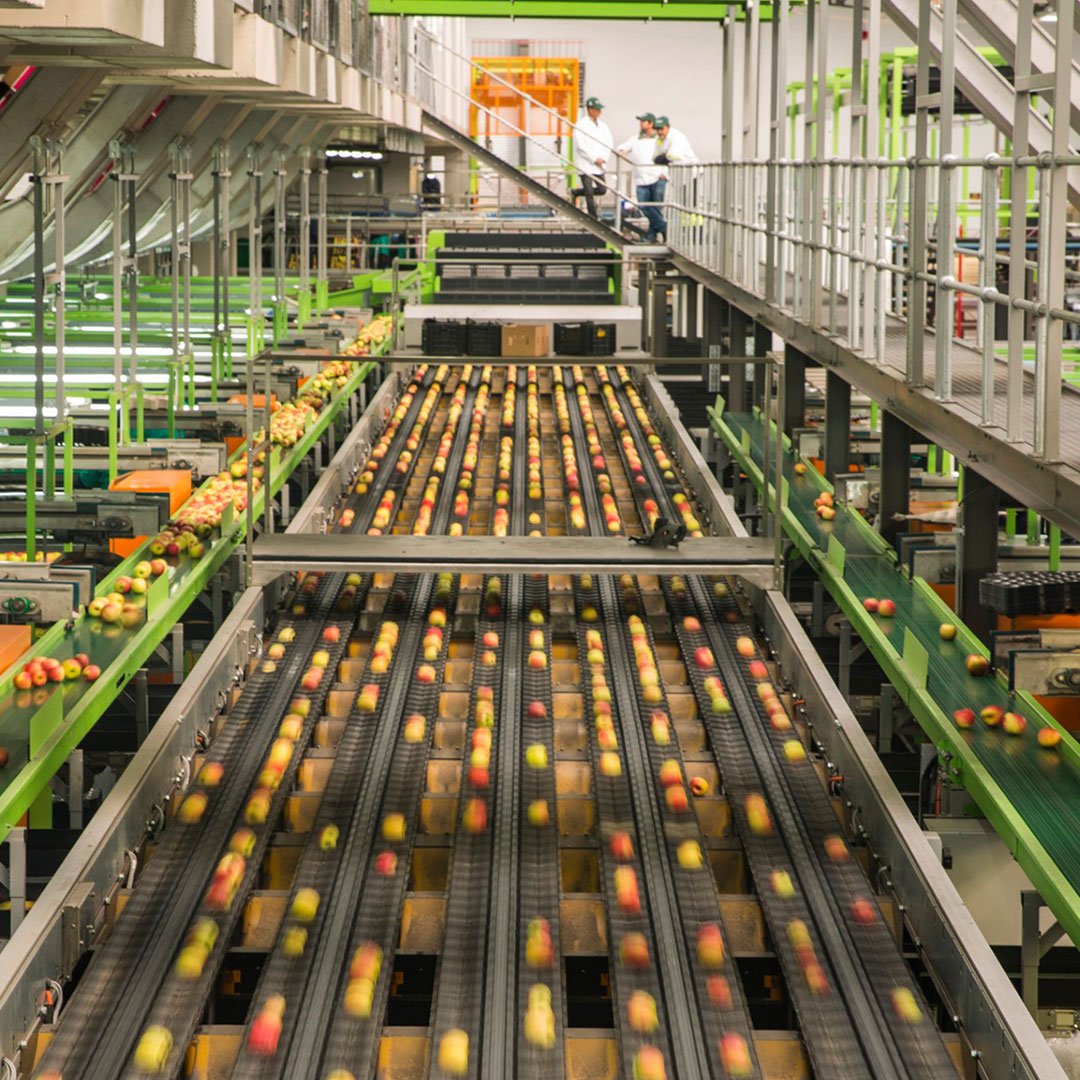 Food processing factory