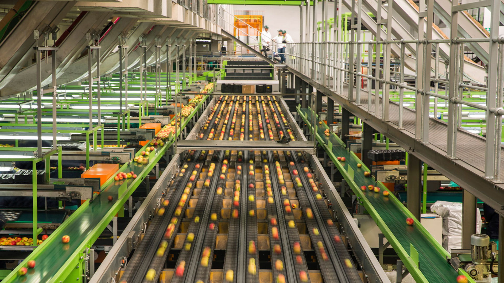 Food processing factory