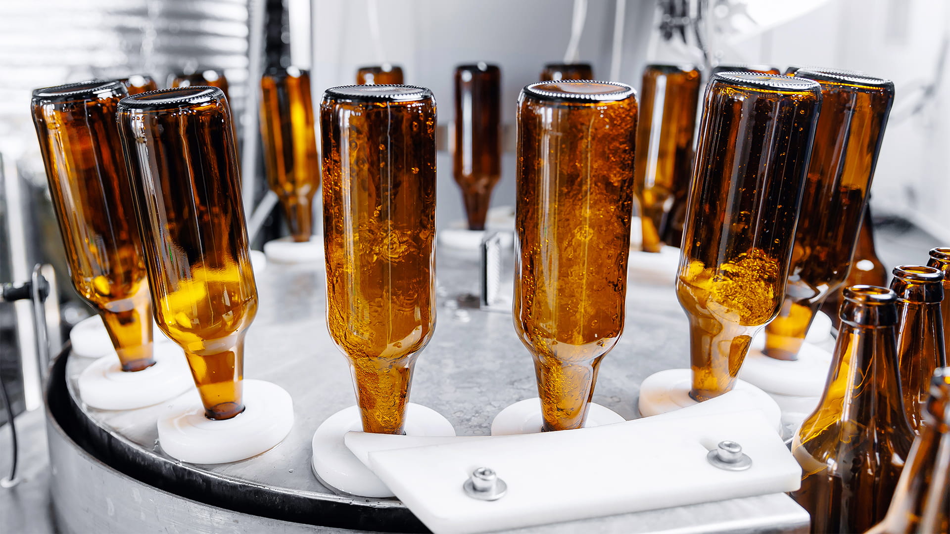 Recycled beer bottles being washed for reuse in beer manufacturing process